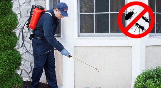 Kadıköy Hamam Böceği İlaçlama böcek ilaçlama ve haşere kontrolü — ilaclama-tr.com